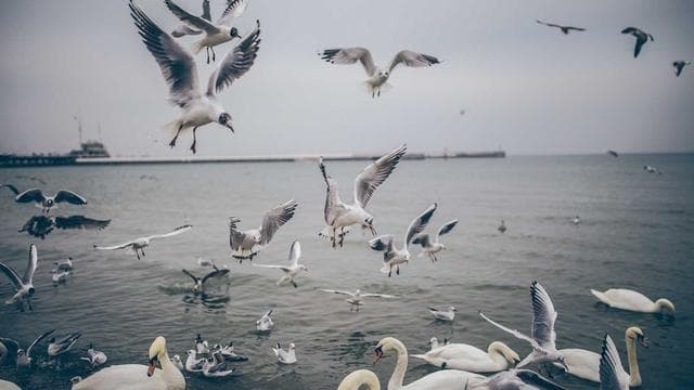 App Gestão de Tarefas